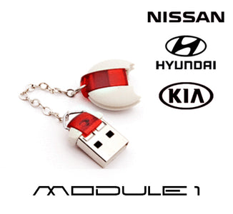 DiagCode - Hyundai/ KIA/ Nissan( USB - security dongle included)